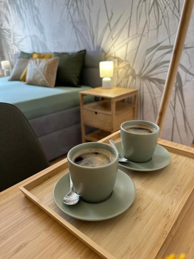 Green Apartment - City Centre - Main Square Liptovský Mikuláš المظهر الخارجي الصورة